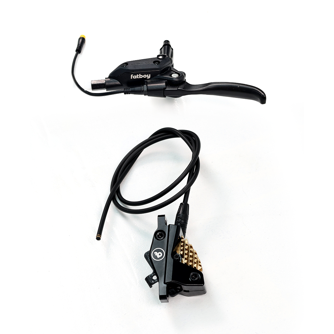 V3 Rear Brake Assembly