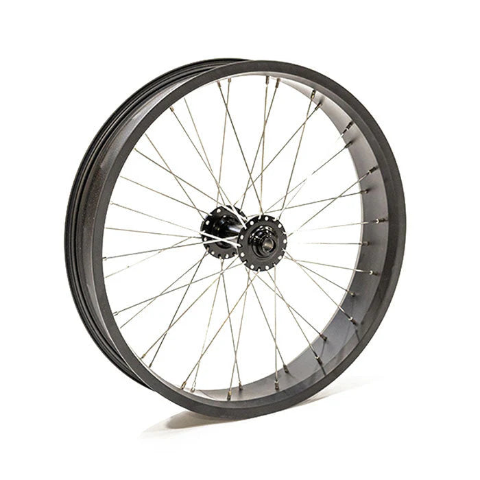 Front Wheel Assembly 20x4 - Bagus