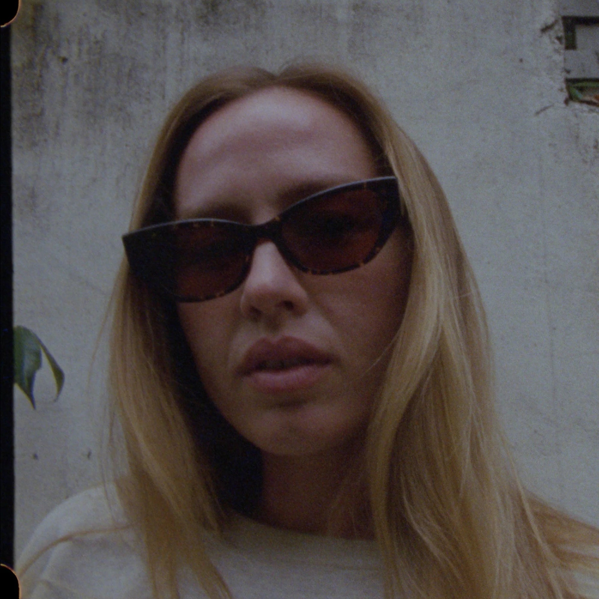 Reprise x Jack Freestone – Crystal Dark Tortoise Poliert / Bronze