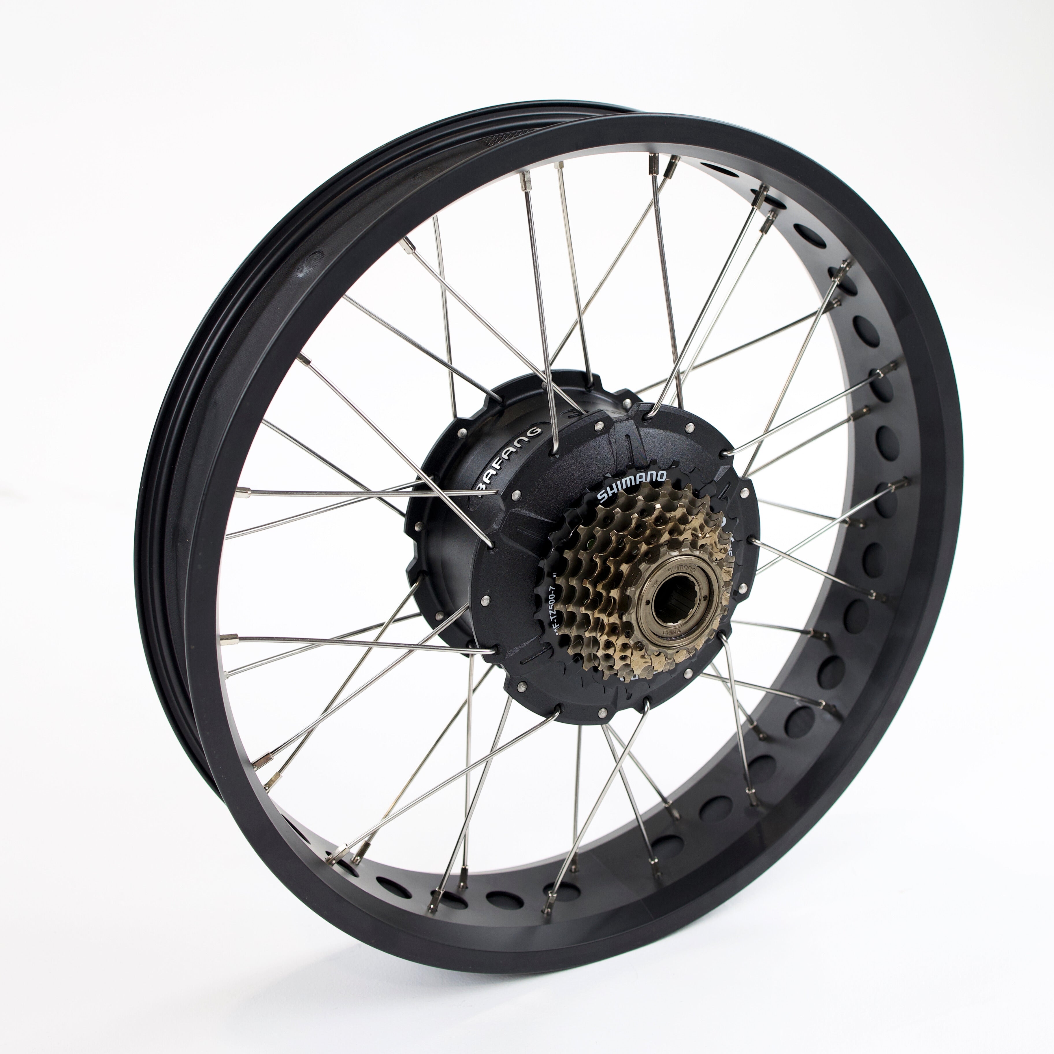 Rear Wheel Assembly 20x4 - with rim holes