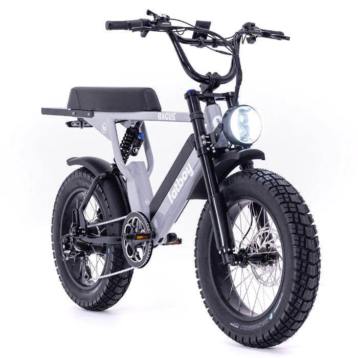 The Bagus eBike