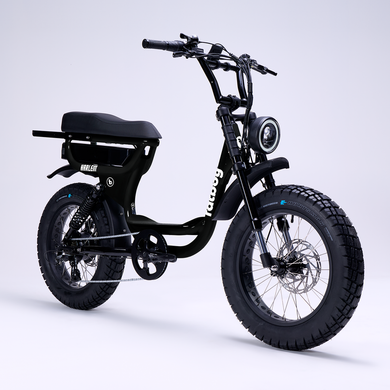The Harlem V2 eBike