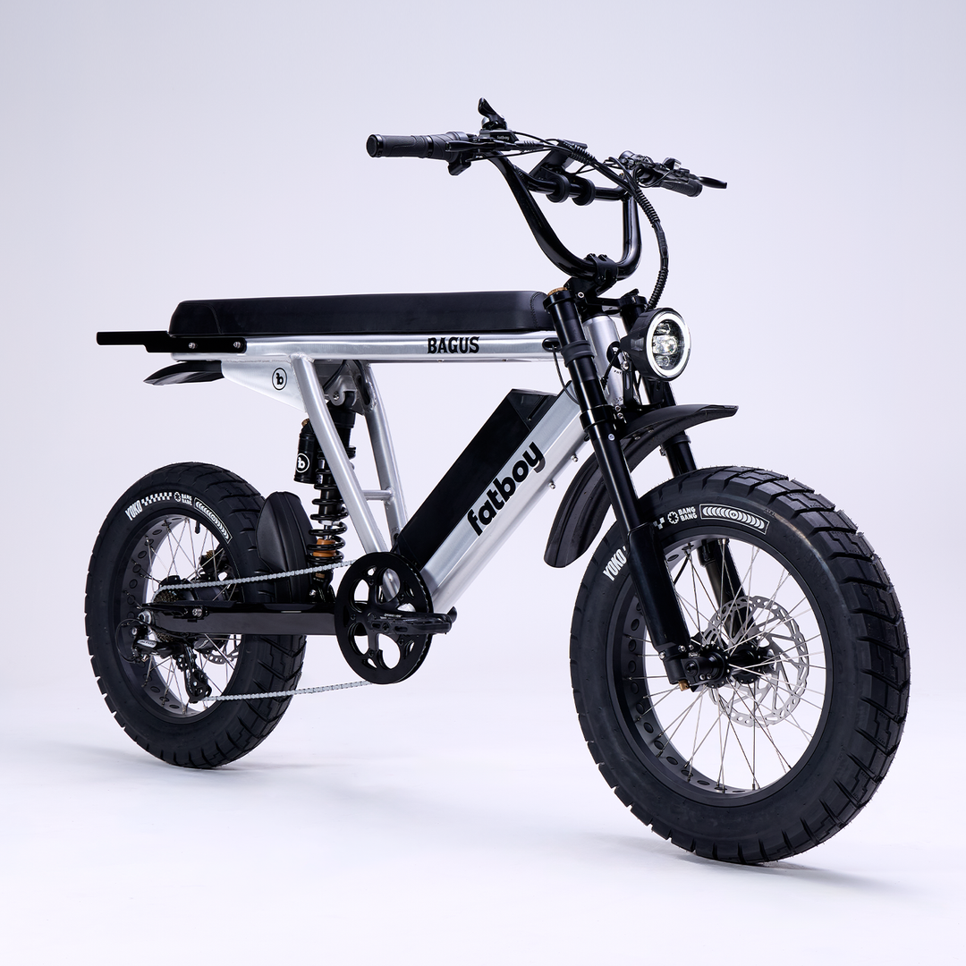 Harlem Electric Bike - Performance & Style
